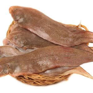 pata fish